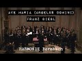Ave Maria (Angelus Domini) – Franz Biebl – by HARMONIE Bernbach