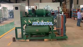 Bitzer screw compressor condensing unit #bitzercompressor #refrigerationequipment