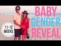 GENDER REVEAL & Pregnancy Chat: 11-12 Weeks!