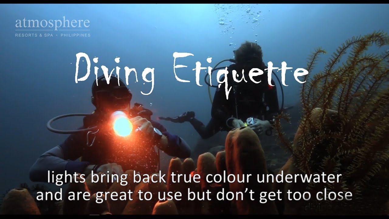 Please behave! Diving etiquette at Atmosphere Resort Philippines YouTube