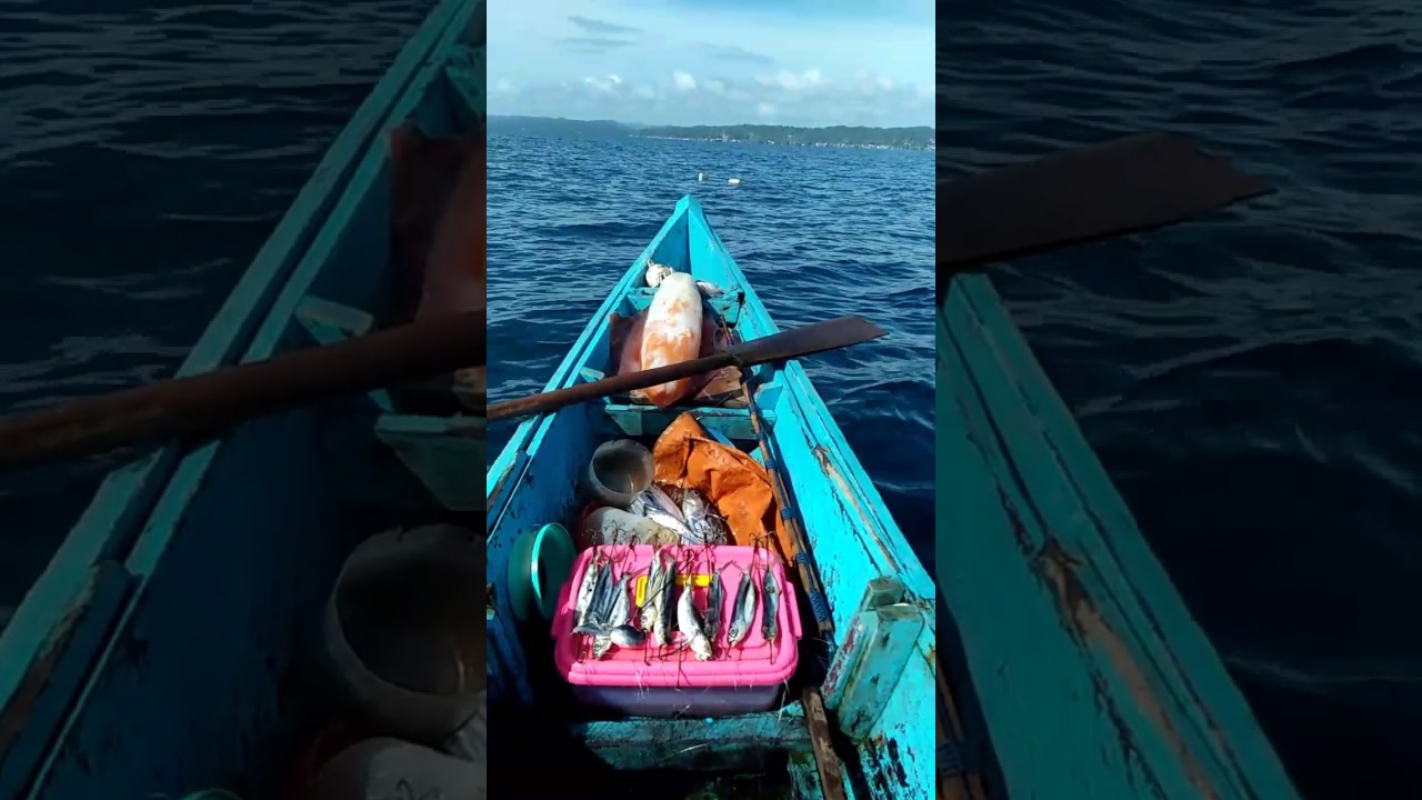 Mancing cumi rantau di laut nias mantap 