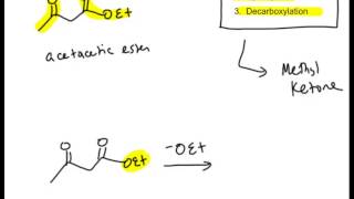 Celebrity Alpha Carbon Reactions Section 7 Multi-Step Synthesis Profile