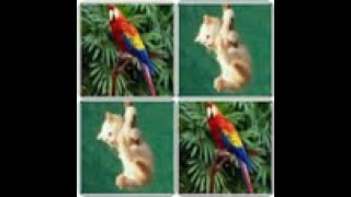 تـطـابـق الـصـور-Match the pictures‏ screenshot 4