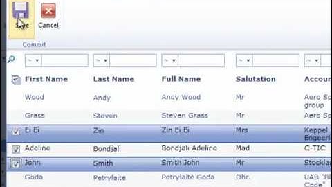 SharePoint CRM Template by BPA Solutions