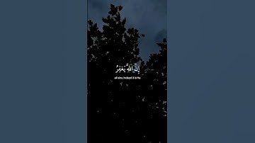 القارئ: أدهم نابلسي، سورة الزمر (٥٣)..