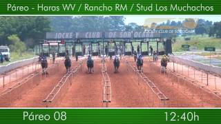 1240 - Páreo - Haras Wv Rancho Rm Stud Los Muchachos - 8º Páreo