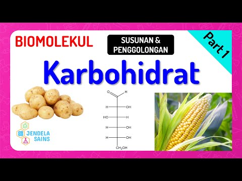 Biomolekul Kimia Kelas 12 • Part 1: Susunan dan Penggolongan Karbohidrat