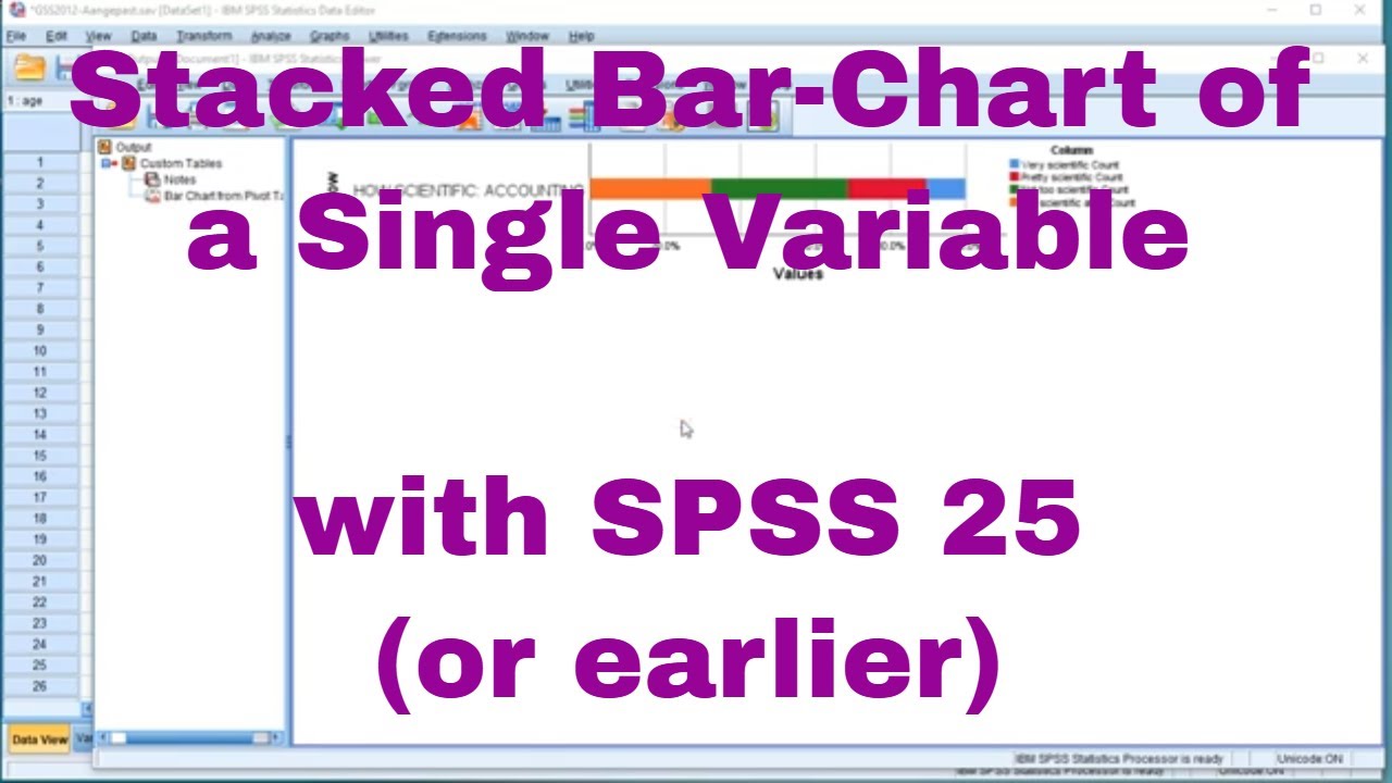 SPSS Stacked bar chart of single variable YouTube