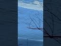 Lake frozen Paul abventures is live!#beutifull #winter #weather #wildlife #nature #love#subscribe
