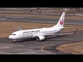 JAL Boeing 737-846 JA346J Landing at Nanki-Shirahama 
