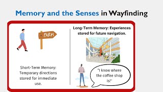 How Memory Impacts Wayfinding for Beginners