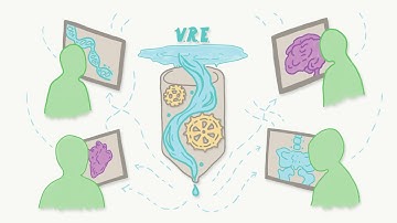 What is The Virtual Research Environment? (English)