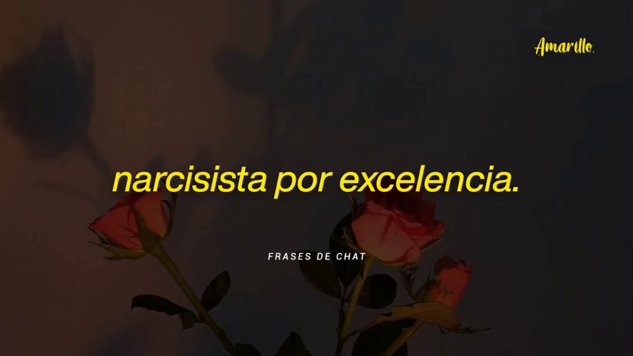 Panda Narcisista Por Excelencia (Letra) YouTube Panda Narcisista Por Excelencia (Letra) YouTube