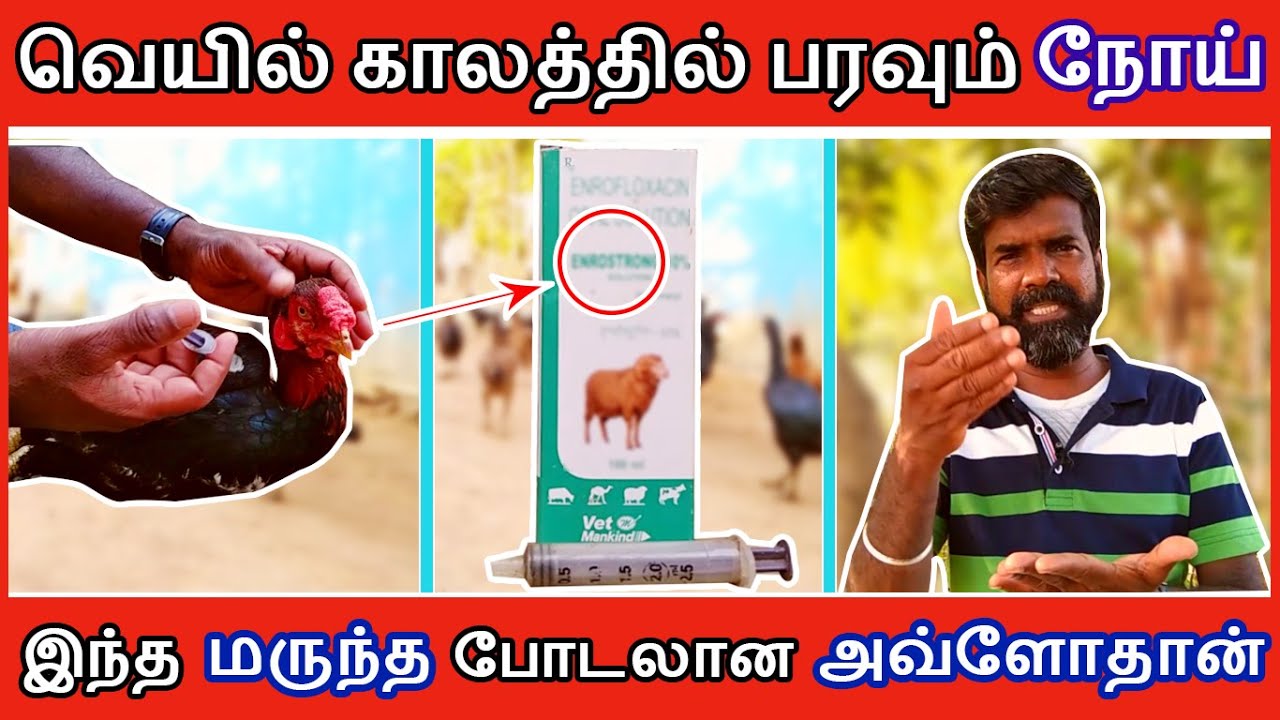 வெயில் காலத்தில் வேகமாக பரவும் நோய் | இந்த மருந்த போடலான அவ்ளோதான் | TAMIL | GUNA NATTUKOZHI PANNAI