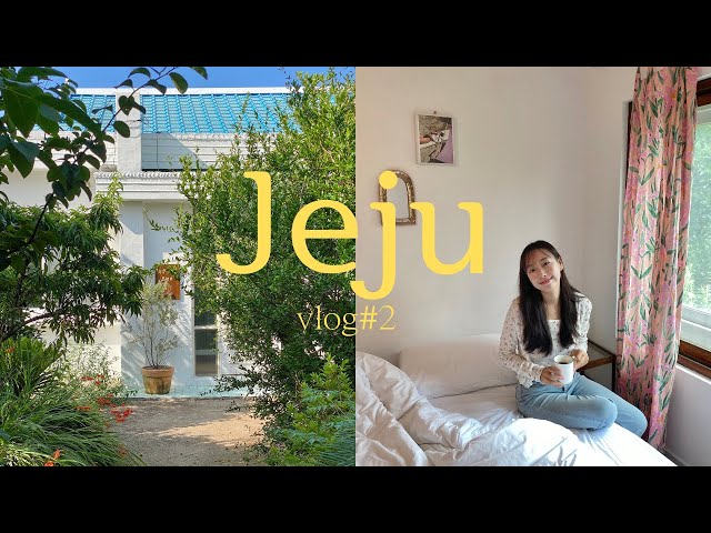 🌴제주 여행 브이로그 4박5일#2 | 제주 감성 숙소 추천 |풍미독서,아이엠더그라스,이드레,블랑드오조,올더버드,아부오름