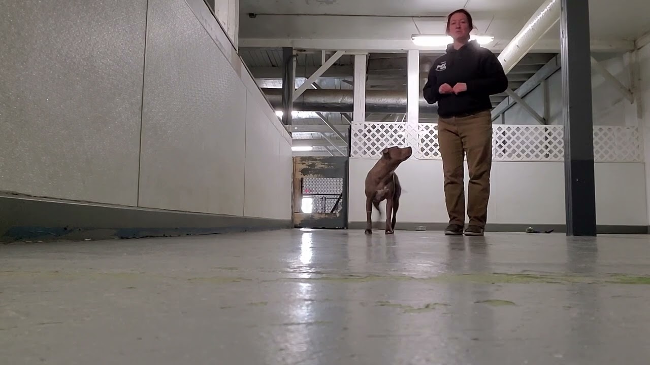 Adding distance to a long distance down