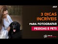 3 dicas incrveis para fotografar pessoas e pets  hora da fotografia pet 109