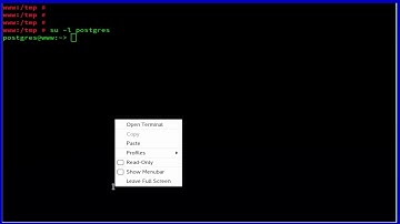 How To install phpPgAdmin on OpenSUSE Leap 42.2