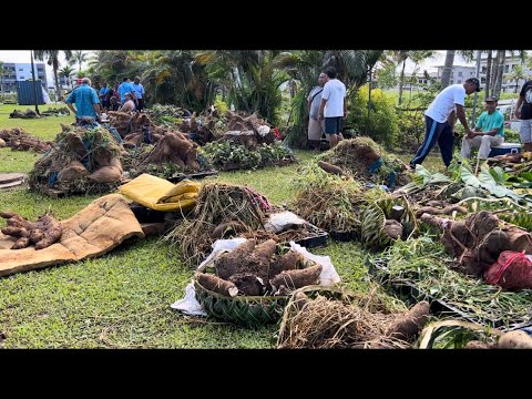 ROTUMA DAY - Farmers competition - YouTube
