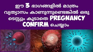 3 Very Early Pregnancy Symptom | Deechus World | Malayalam