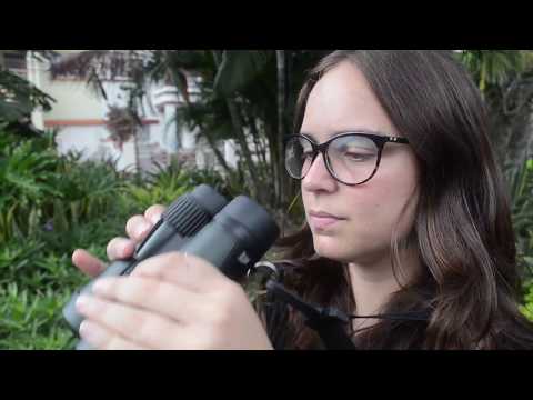 Video: ¿Cómo usar binoculares correctamente?