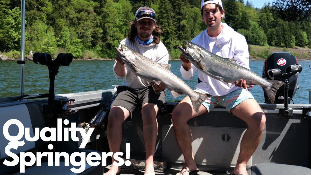 Spring Chinook LIMIT & Columbia River Smallmouth Bass Fishing