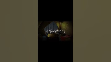 #عمر_بن_ضياء_الدين #سورة_فاطر #اكسبلور #explore #like #لايك #قران_كريم #قرآن #quran #راحة_نفسية