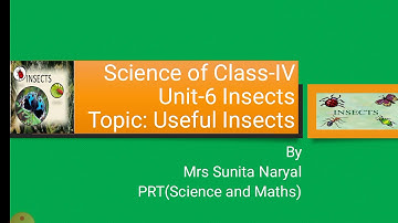 Useful Insects from Chapter-6(Insects) for 4th Class Science by Mrs Sunita Naryal