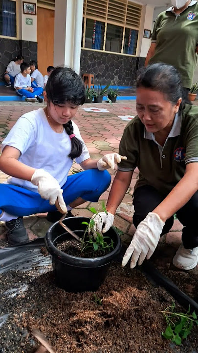 Gerakan Cinta Alam, SDLB C TRI ASIH II, JPIC #trending #jpic #alamindonesia #shortvideo #news