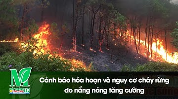 Cảnh báo hỏa hoạn và nguy cơ cháy rừng do nắng nóng tăng cường