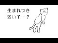 【痙攣】全盲!てんかん持ちの猫を保護したら、驚きの連続でした…