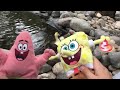 SpongeBob And Patrick Take Their 5 Little Ducklings To The Pond 