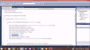 Configurar DataGridView con clases C# - Visualizandolanet
