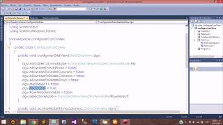 Configurar DataGridView con clases C# - Visualizandolanet