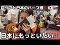 【号泣】日本が大好きすぎて…帰国の日、空港で涙が止まらない‼️