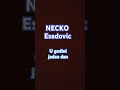 Necko Esadovic,  U godini jedan dan