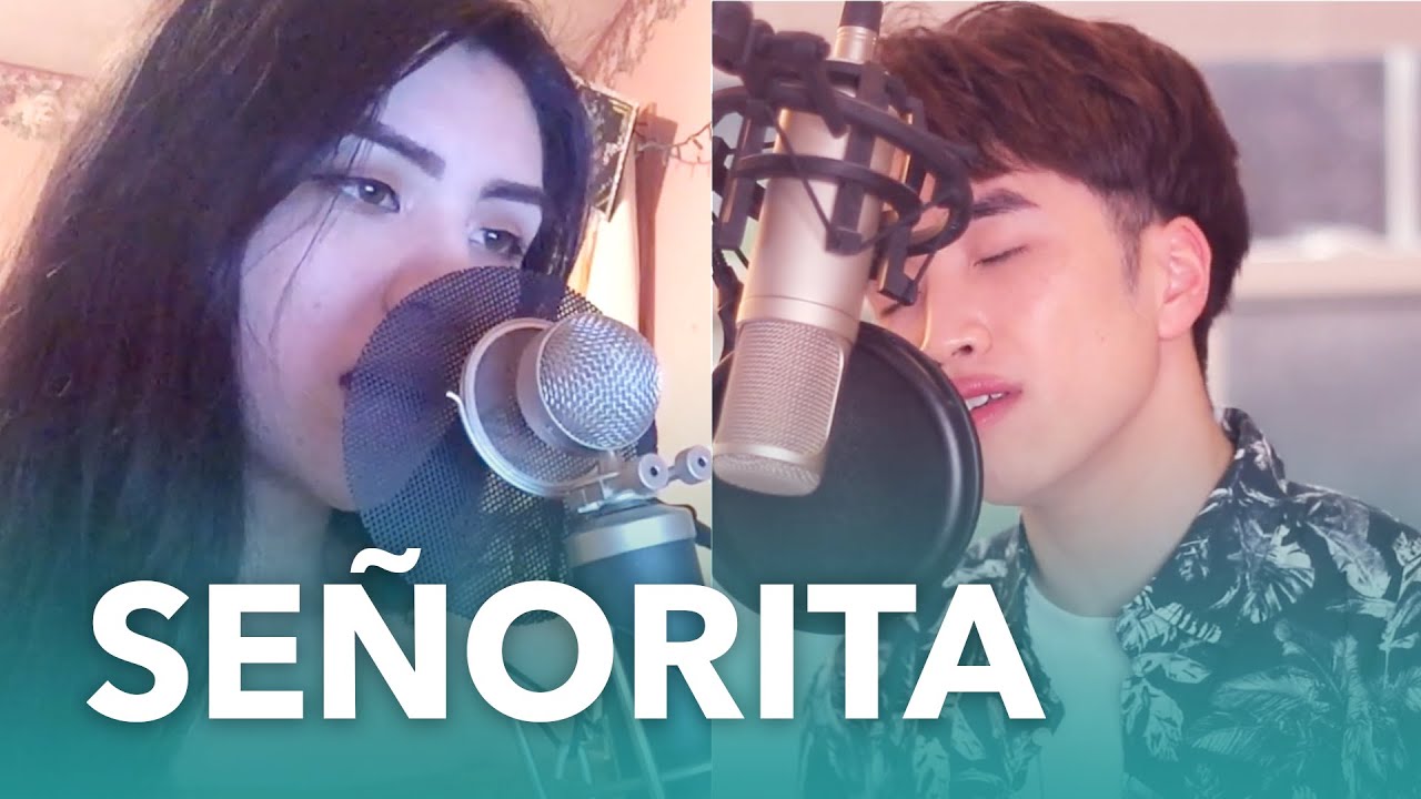 [COVER] Shawn Mendes, Camila Cabello - Señorita (StillNotDavid & Cindy Vo)