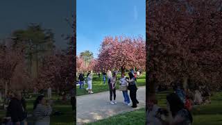 Parc De Sceaux- Paris 92