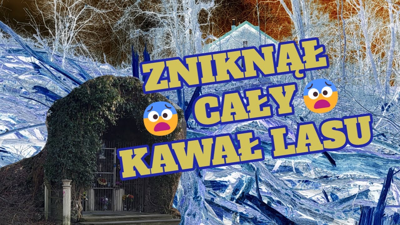 BYŁ LAS, JEST PUSTYNIA 😱 Co się stało podczas budowy trasy N-S? [Ruda Śląska]