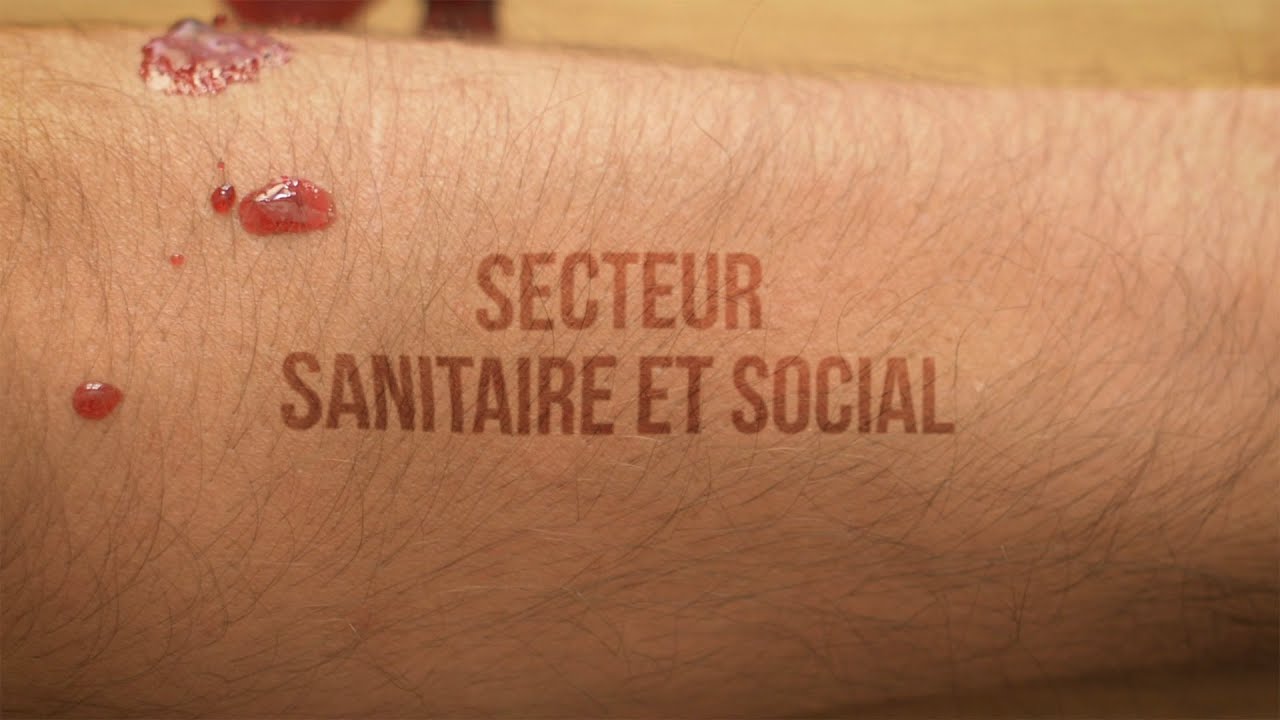 La Licence  Sciences Sanitaires et Sociales
