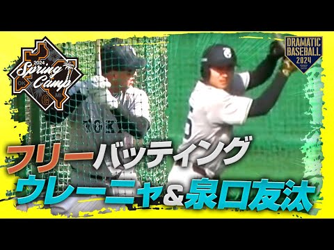 【春季キャンプ】"ウレーニャ・泉口"フリーバッティング【巨人】