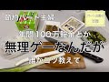 節約特集を見ても手取り額が違いすぎで参考にならなかった。コツコツ地道家計管理主婦の一日