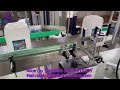 2253 M28 UK Online Conveyor-Type Self-Adhesive Single-Sided Labeling Machine