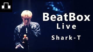 Shark T - BeatBox Live / dsomeb