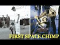 &#39;Ham&#39; The First Chimpanzee In Space Was Launched 61 Years Ago