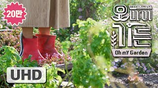 [20만] 오마이가든 UHD Documentary | 흔들리는 정원 속에서 너의 꽃향기가 느껴진거야~  제주에서 런던 그리고 뉴욕까지. | KBS제주 20191218 방송