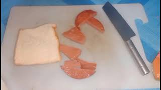 making an sandwich project