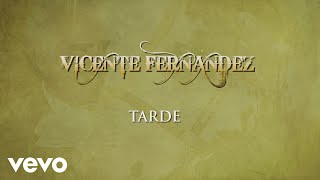 Video thumbnail of "Vicente Fernández - Tarde (Cover Audio)"