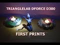 First Prints with a TriangleLab Dforce D300 3D Printer