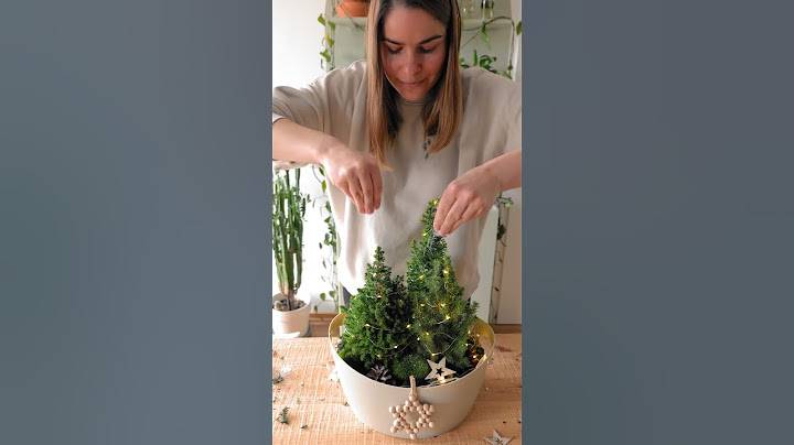 Weihnachtsdeko Idee: ein kleiner Wald im Korb🎄🌟✨ #shorts #weihnachten